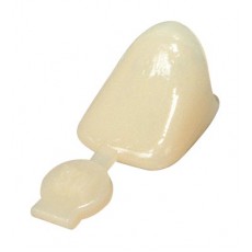 40-POLYCARBONATE REPLACE CROWN  - doprodej