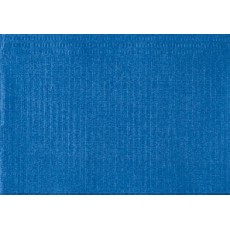 EURONDA roušky pro pacienty, skládané UP! 10x50 ks, modré 