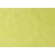 EURONDA Tray paper absorpční papíry do tácků 28x18 cm, limetkový, 250 ks