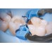 QuickmatFIT anatomické sekční matrice 0.04mm premolar - 50 pcs (Polydentia) QuickmatFIT anatomické sekční matrice 0.04mm premolar - 50 pcs (Polydentia)